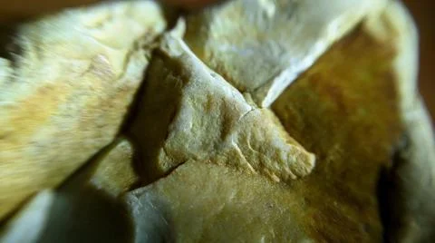 Background Stock Photos