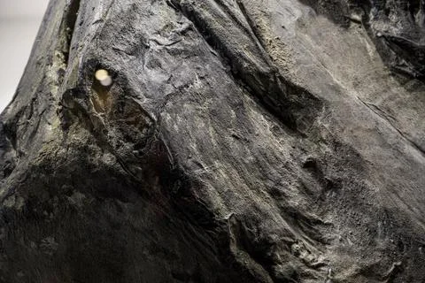 Background Stock Photos