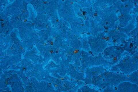 Background Foto stock