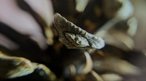 Background Foto stock