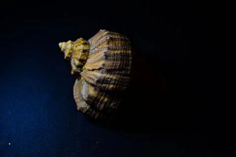 Background Stock Photos