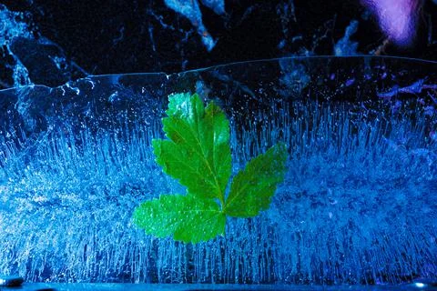 Background Stock Photos