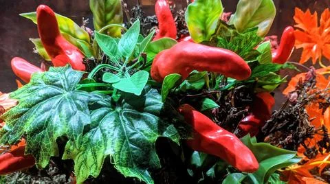 Background Stock Photos