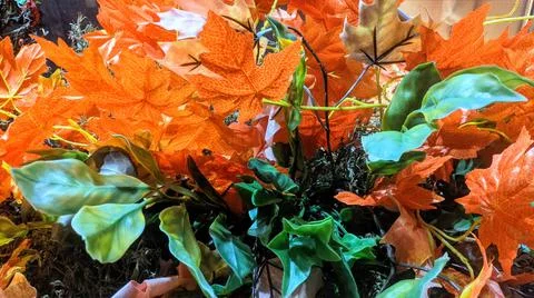 Background Stock Photos