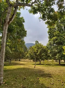 Background Stock Photos