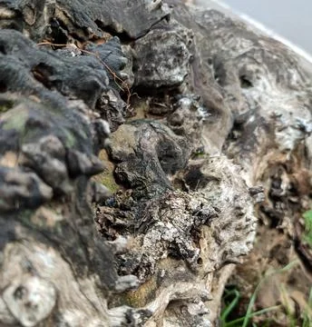 Background Stock Photos