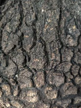 Background 스톡 사진