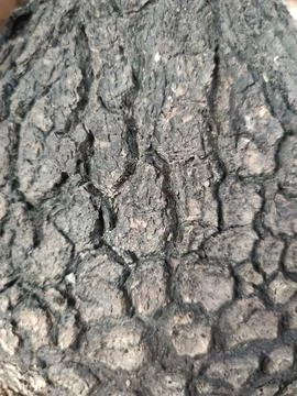 Background Stock Photos