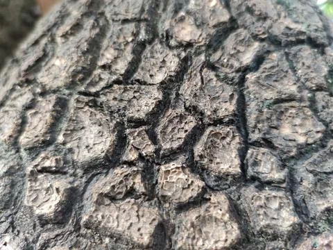 Background 스톡 사진