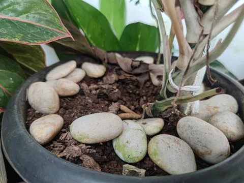 Background Stock Photos