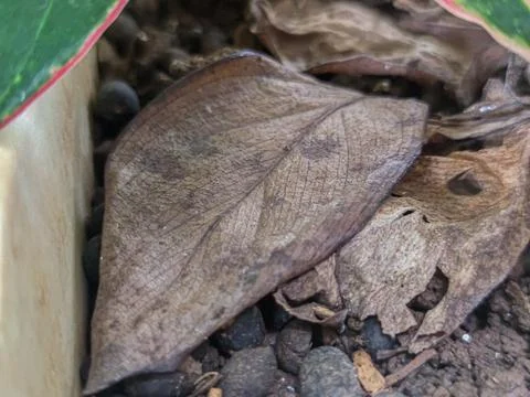 Background 스톡 사진