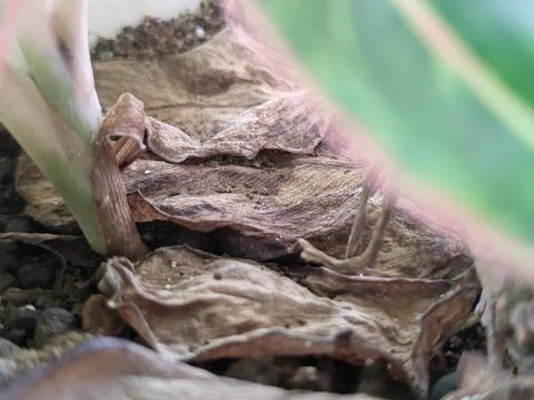 Background Stock Photos