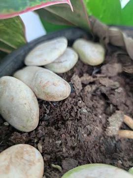 Background Stock Photos