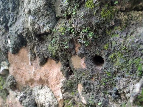 Background Stock Photos