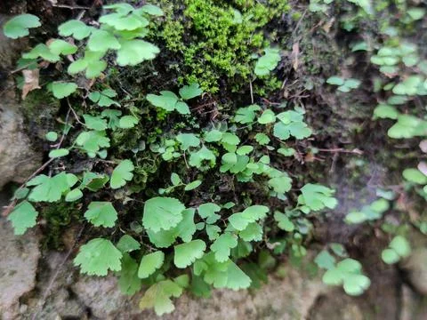 Background Stock Photos