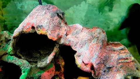 Background Foto stock