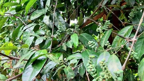 Background Foto stock