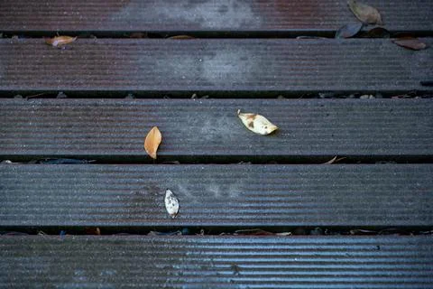 Background  Stock Photos