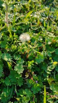 Background 스톡 사진