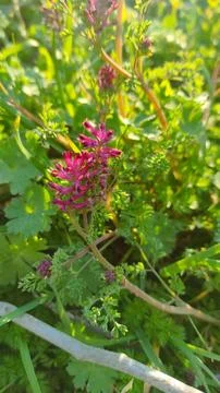 Background 스톡 사진