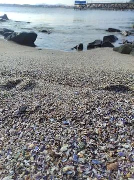 Background 스톡 사진