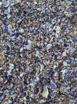 Background 스톡 사진