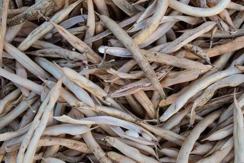 Background Stock Photos