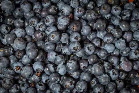 Background Stock Photos