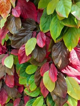 Background Fotos de archivo