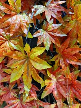 Background Foto stock