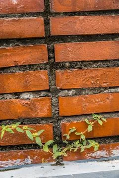 Background Stock Photos