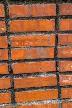 Background Stock Photos