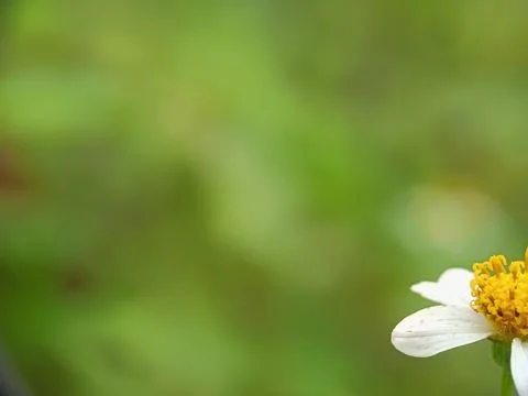 For background Stock Photos