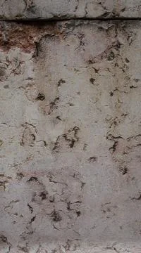 Background photo backdrop texture gray, white, and black wood and concrete wall. Stock Photos