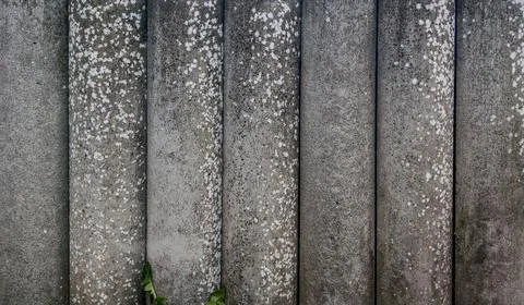 Background photo backdrop texture gray, white, and black wood and concrete wall. Stock Photos