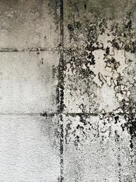 Background photo backdrop texture gray, white, and black wood and concrete wall. Stock Photos
