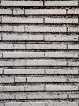 Background photo backdrop texture gray, white, and black wood and concrete wall. Stock Photos