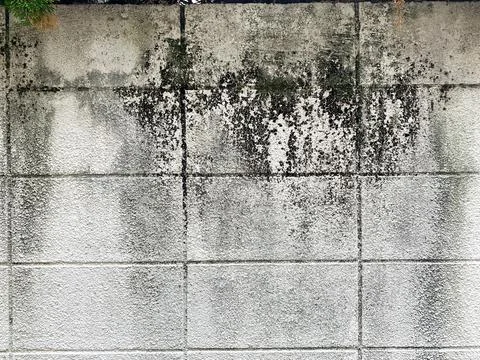 Background photo backdrop texture gray, white, and black wood and concrete wall. Stock Photos