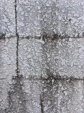 Background photo backdrop texture gray, white, and black wood and concrete wall. Stock Photos