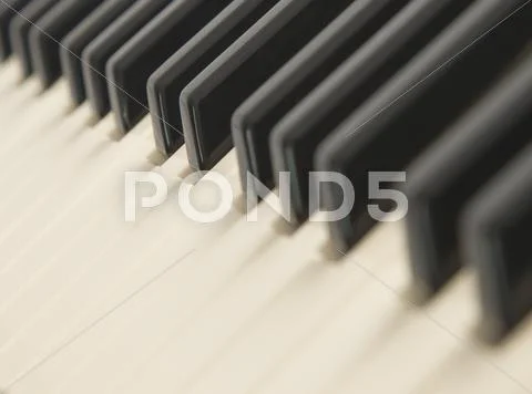 Background of a piano keyboard Stock Photos