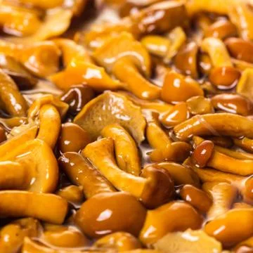 Background pickled mushrooms closeup Stock Photos