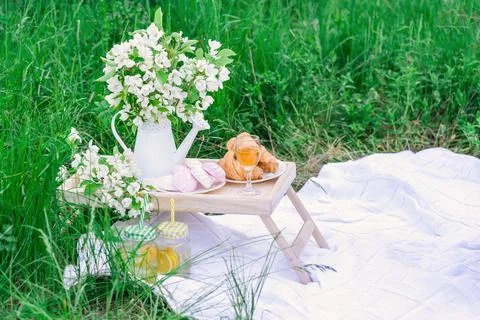 Background for a picnic in nature close-up Stock Photos