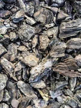 Background of pieces of tree bark Stock Photos