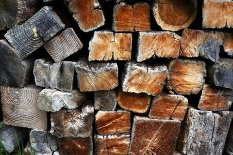 Background with pile of trunks cutted Stock Photos