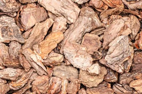 Background of pine bark nuggets layer used for gardening Stock Photos