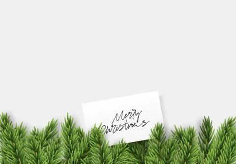 Background with pine spruce realistic branches. bottom line. Decorative Chris Stock Illustration