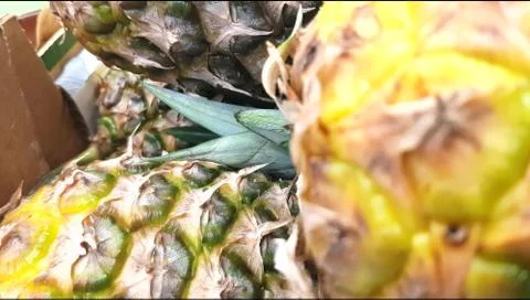 Background pineapple exotic fruit texture close-up 4K 30fps UltraHD resolutio Stock Photos