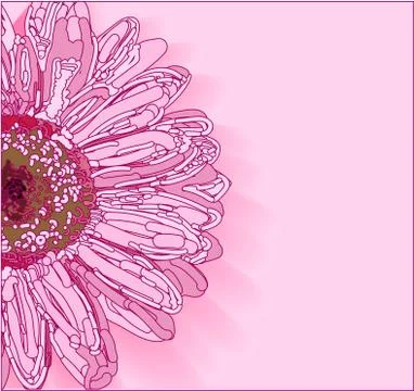Background pink with a flower. Paste the text. Template for invitations, card Stock Illustration