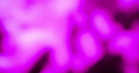 A background with pink light and blurred details in chaotic and smooth movement. Stock Footage 146217909