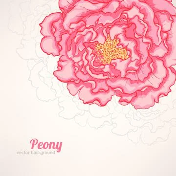Background with pink peony Stock Illustration